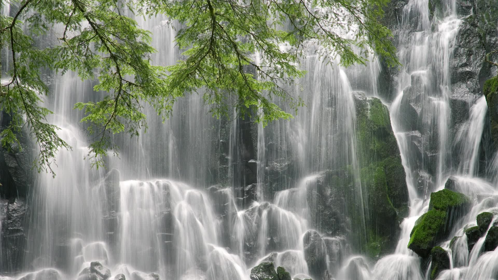 世界体能恢复科研项目对接会在本地高校举行，世界体能大赛